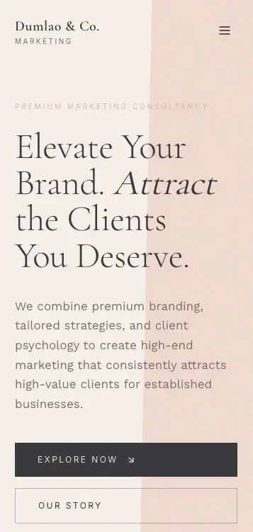 Mobile website design showcase 1